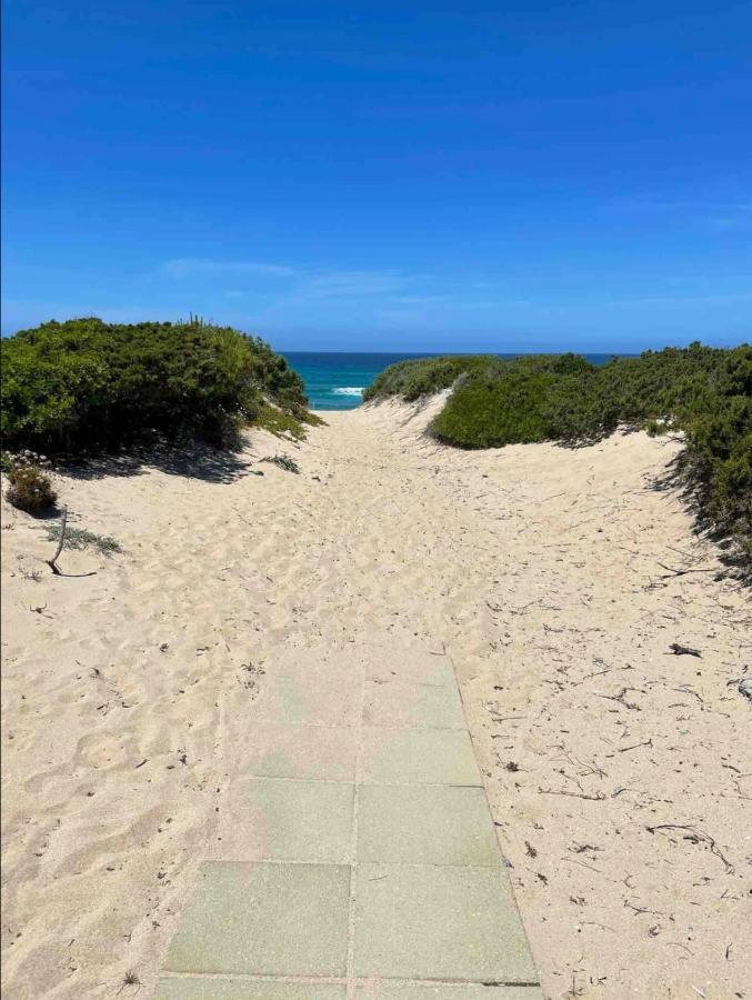 Appartement Baia Delle Mimose H9 萨萨里 外观 照片